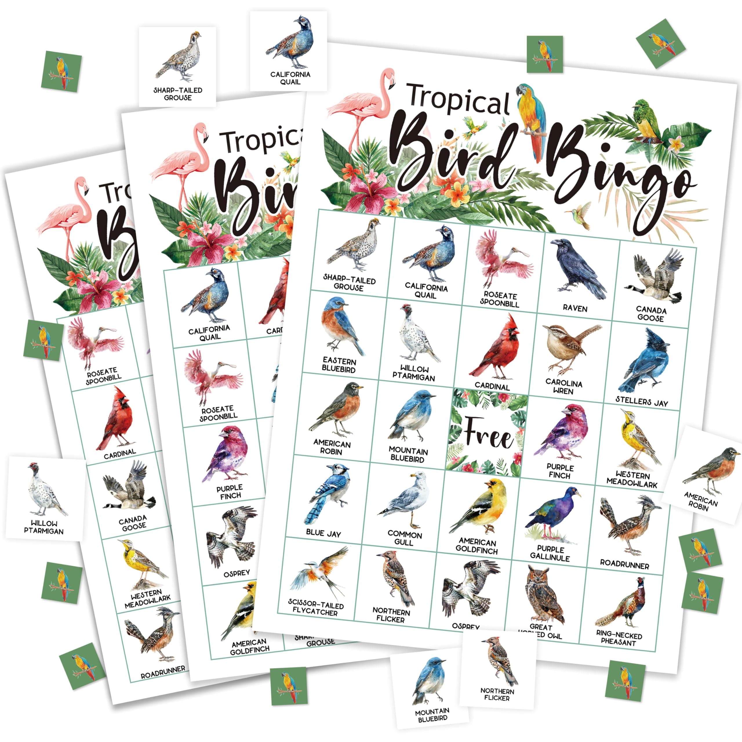 wenhihsiy Bird Bingo Game Cards for Adults, Backyard Birding Bingo Cards Game for Family Holidays Friends Gatherings, Ideal for Bird Themed Party Game, 24 Players Birthday Party Supplies Favors, 001